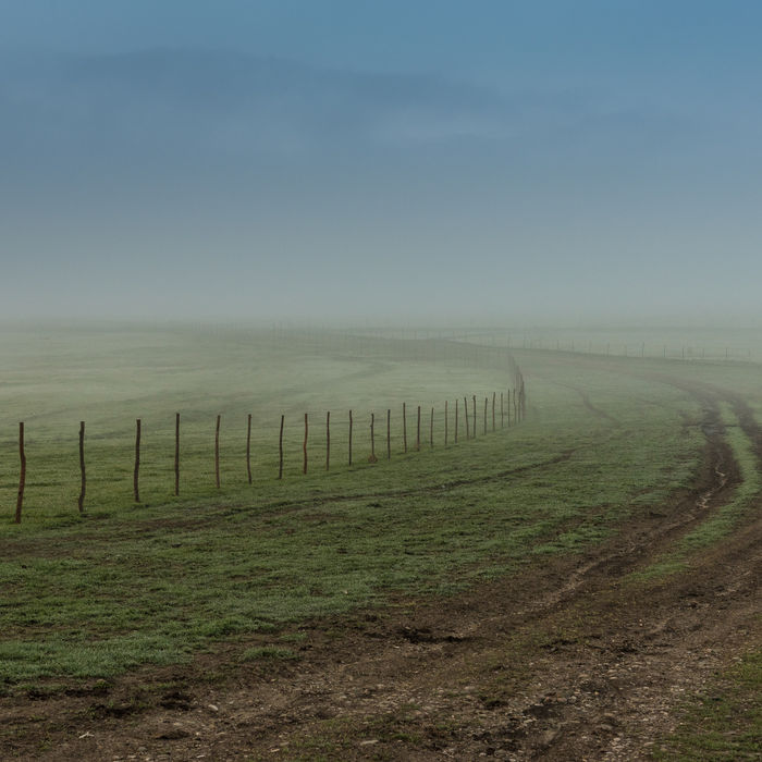 Une image d'ambiance des steppes de l'arrière pays. © Brecht De Meulenaer