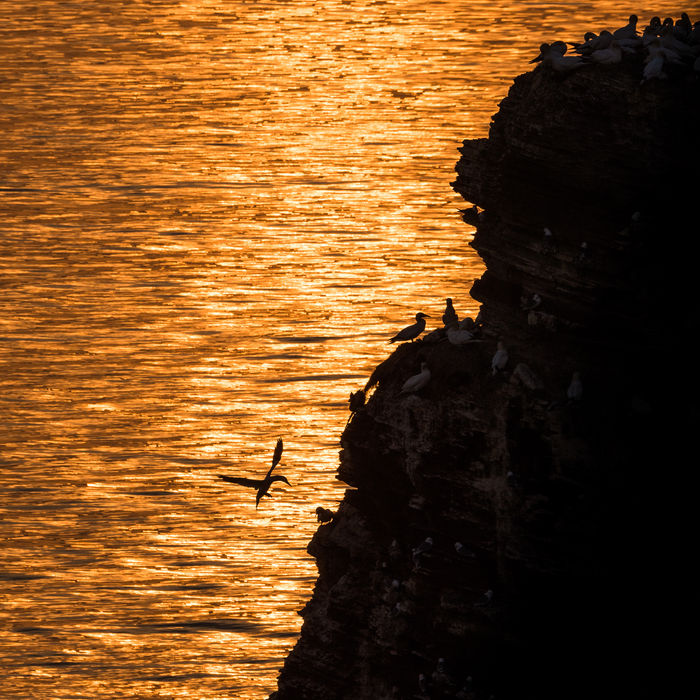 © Jeffrey Van Daele
