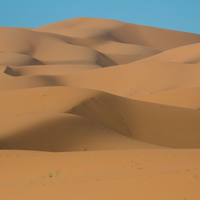 De spectaculaire zandduinen van Merzouga. © Billy Herman