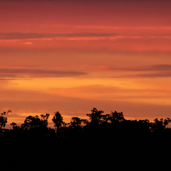 Sunset above the rainforest. © STARLING reizen