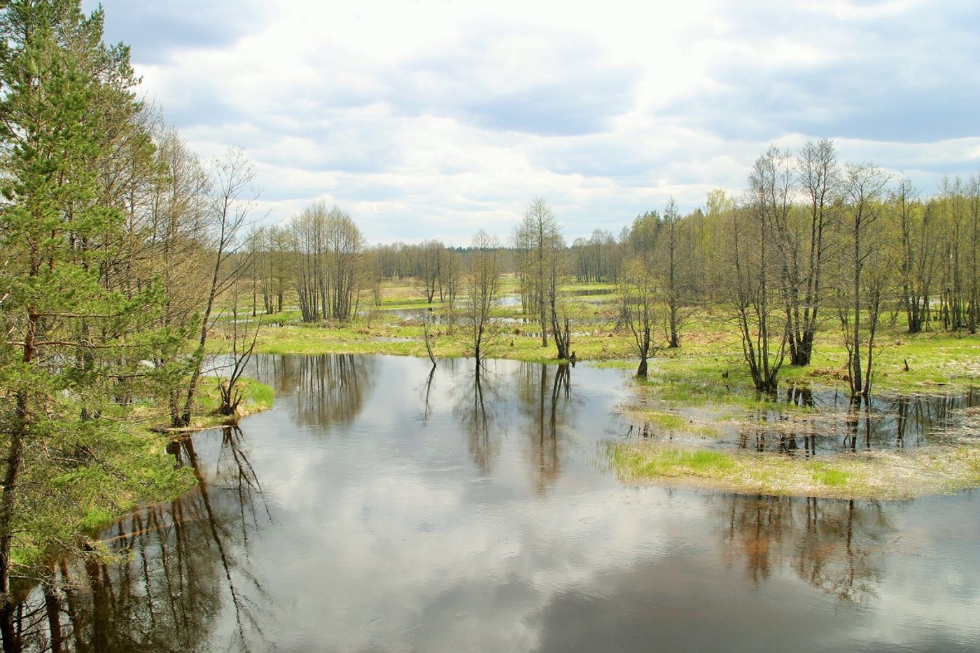 Zicht vanuit de hoogzit op de meanderende rivier. © STARLING reizen