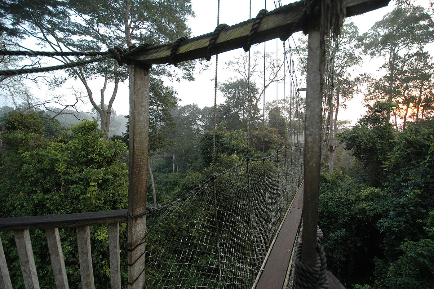 Hier begint het: de canopy walk in Kakum! © Benny Cottele