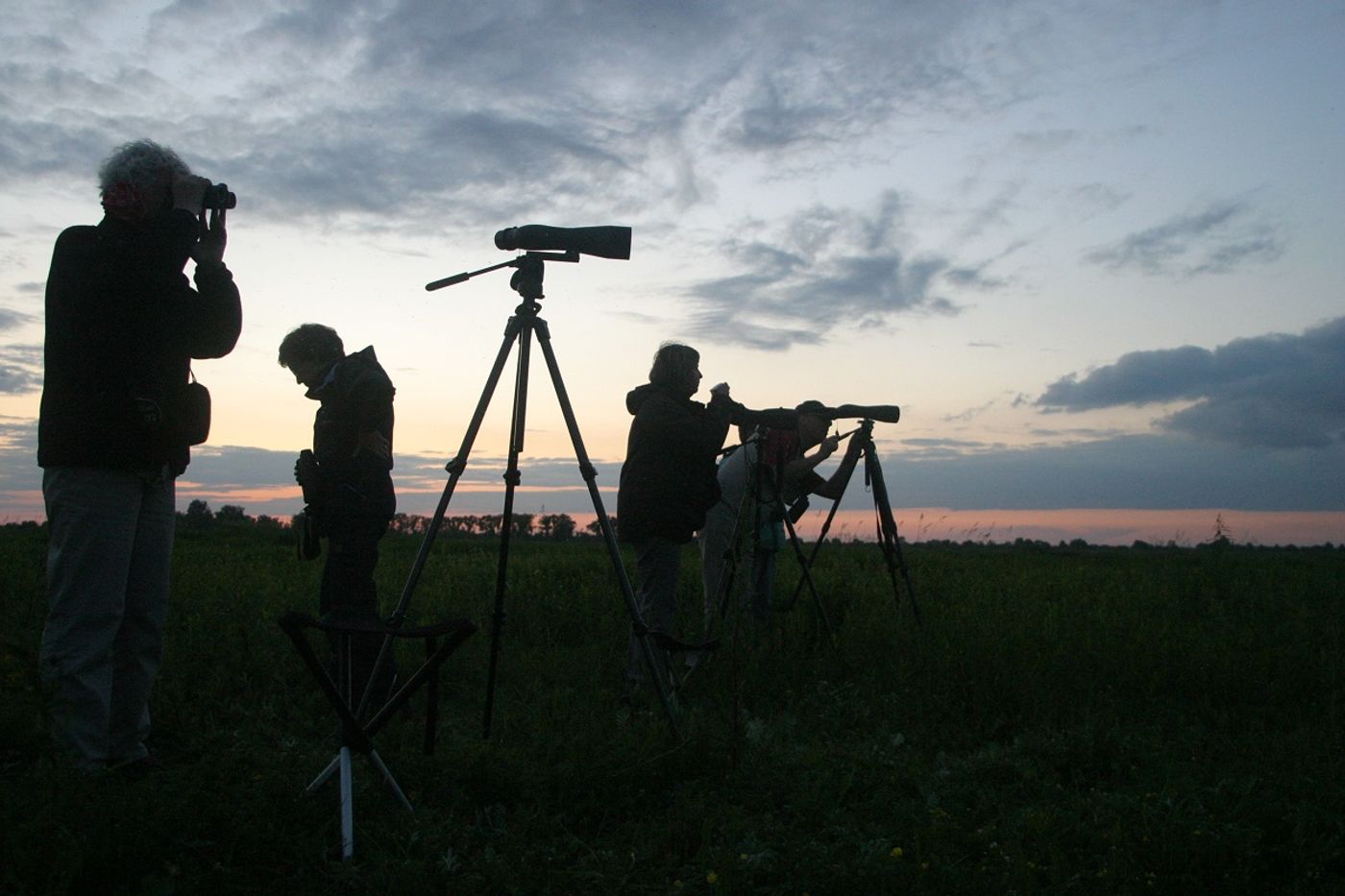 De groep observeert de poelsnippen op hun lek. © STARLING reizen