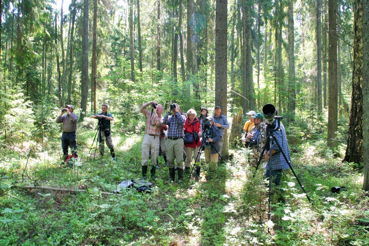 De groep bij een broedende Laplanduil. © STARLING reizen