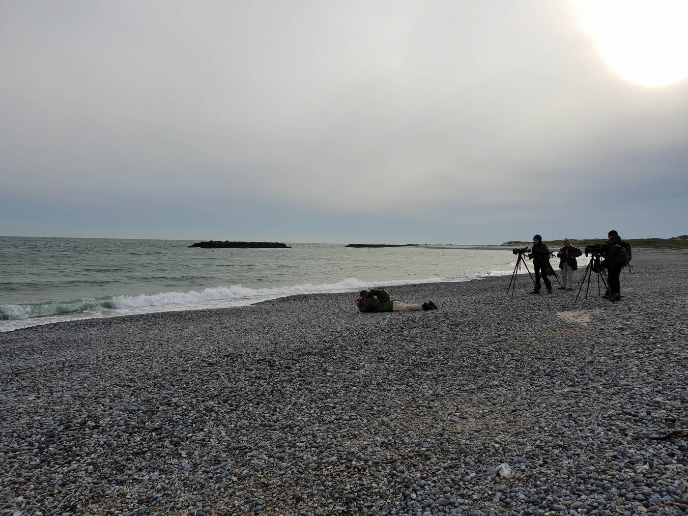 Groupe STARLING photographiant les phoques.