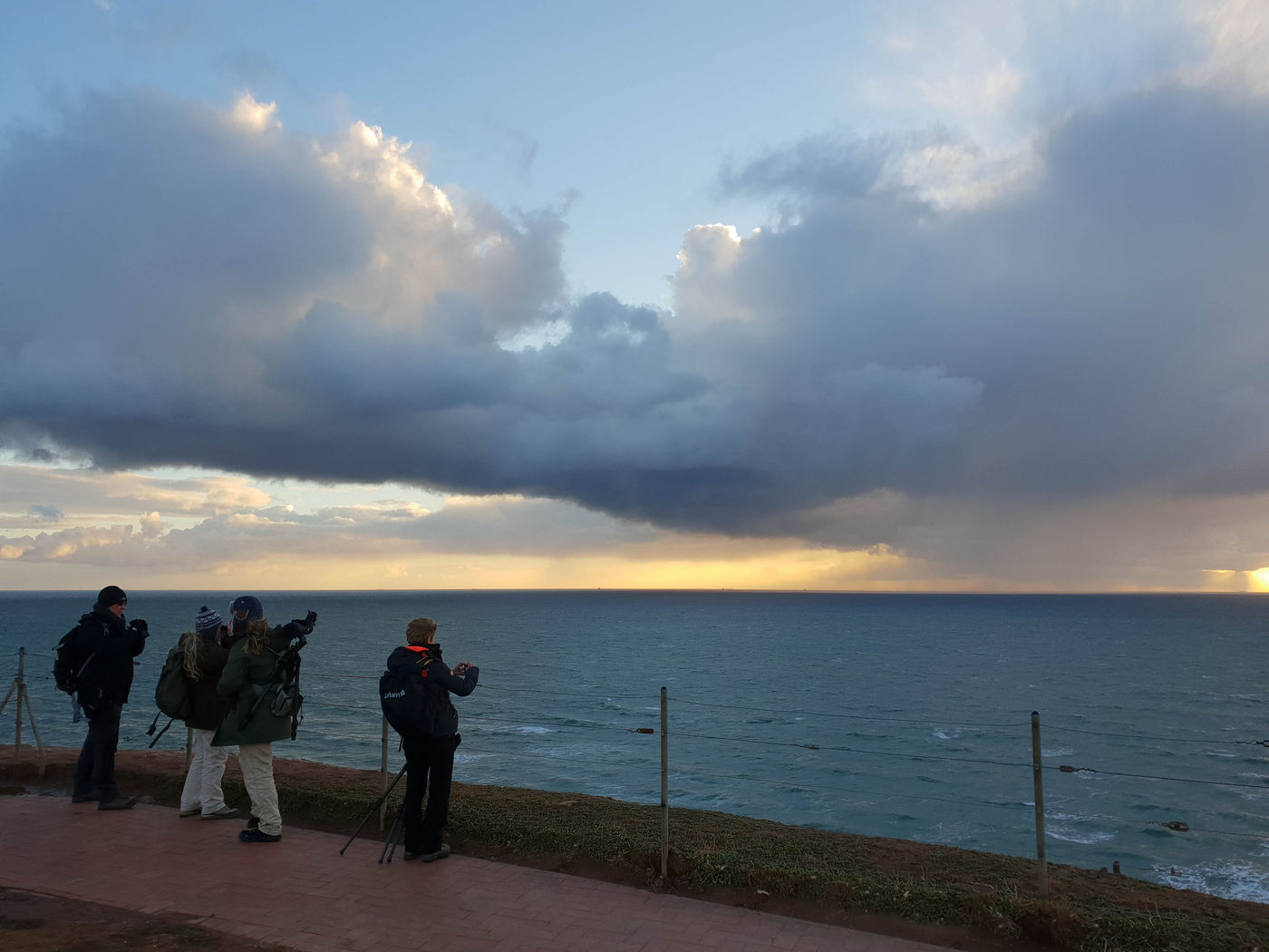 Groupe STARLING dans le soleil couchant.