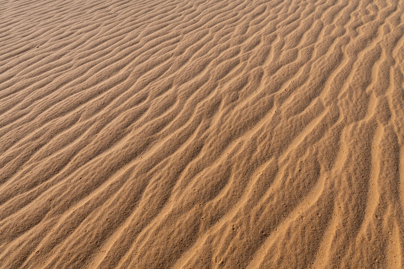 Amazing abstract background image of ripples and waves in the sa © Sebastian Vervenne