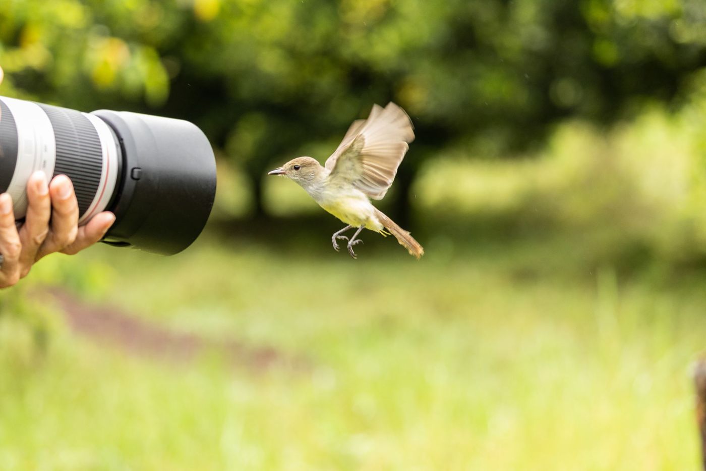 Even lachen naar het vogeltje! © STARLING reizen