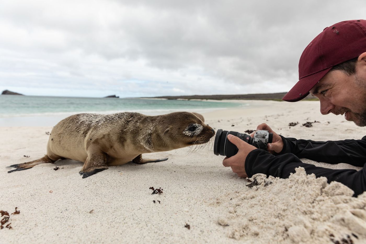 Voor de close-ups zorgen de dieren vaak zelf! © Yves Adams