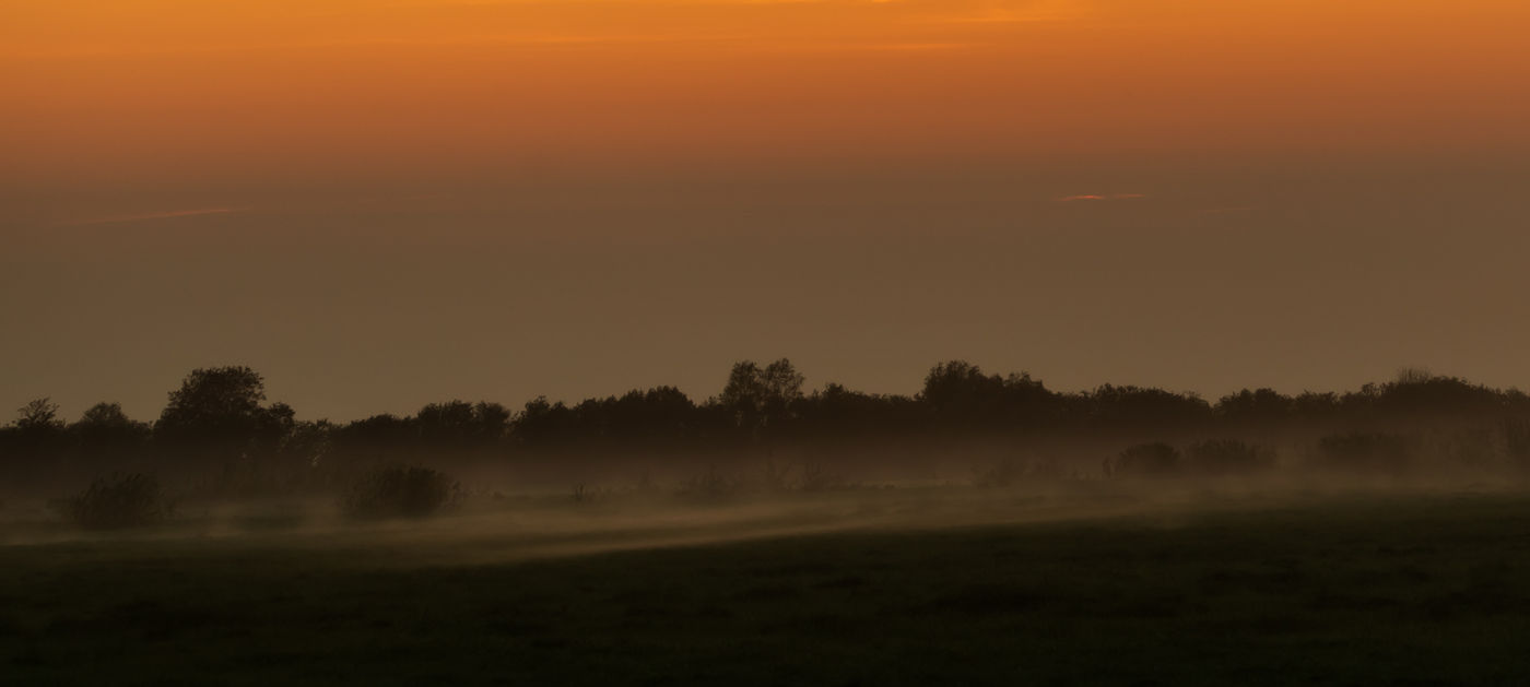 Een mistige morgen in het Litouwse landschap. © Sabine Ongenae