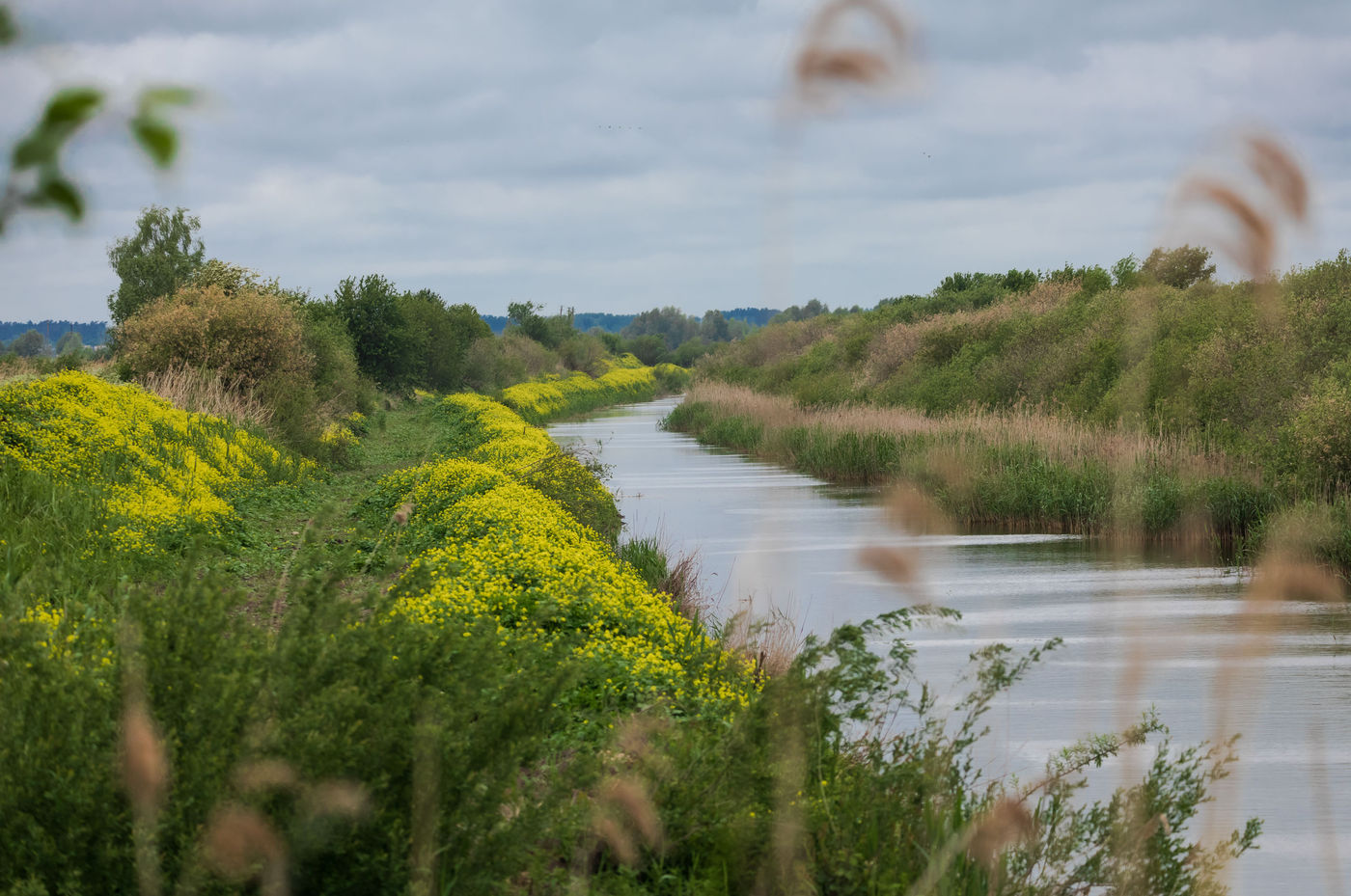 Un canal aux berges richement fleuries. © Sabine Ongenae