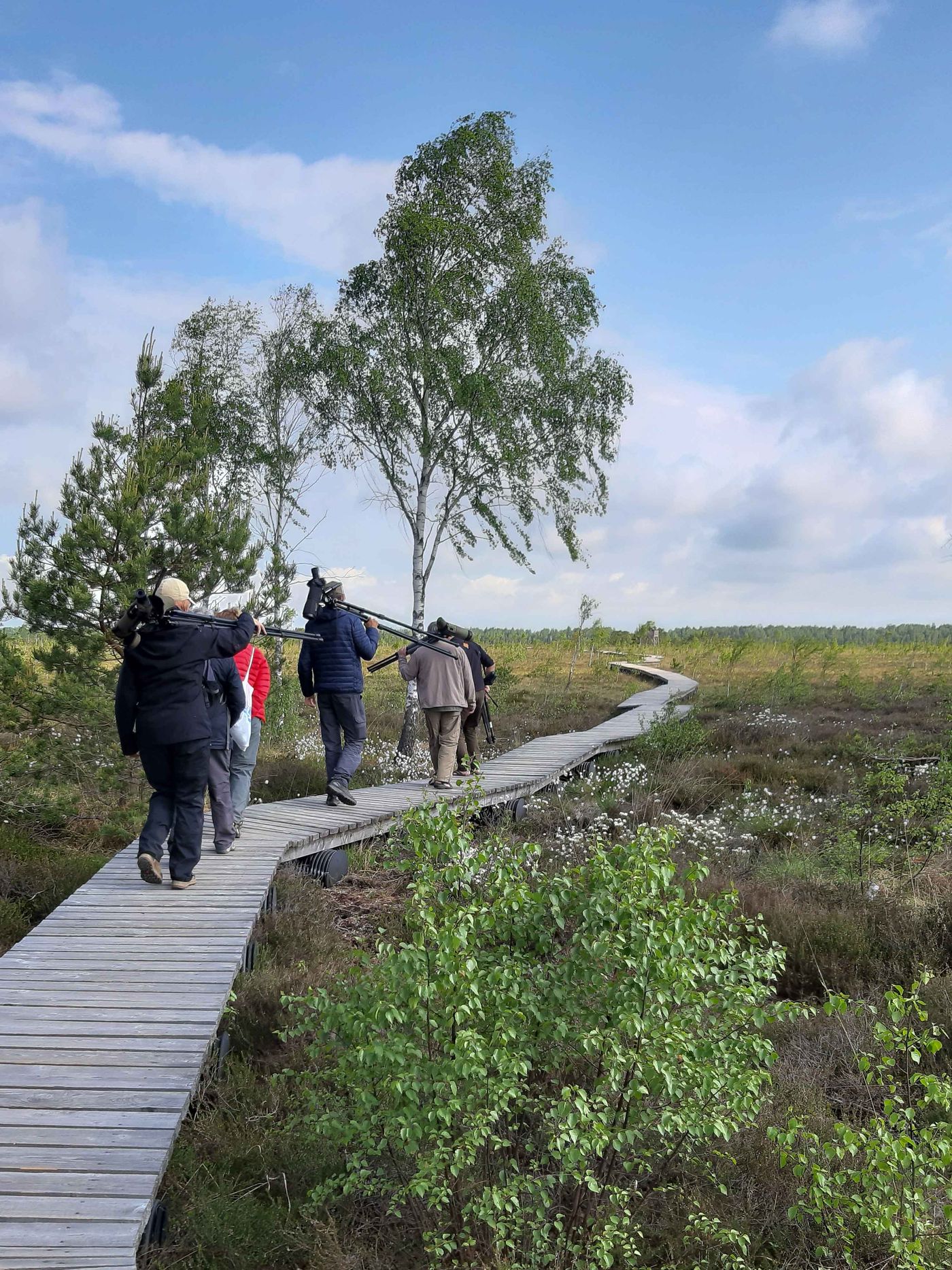 En promenade sur un caillebotis dans les tourbières. © Sabine Ongenae