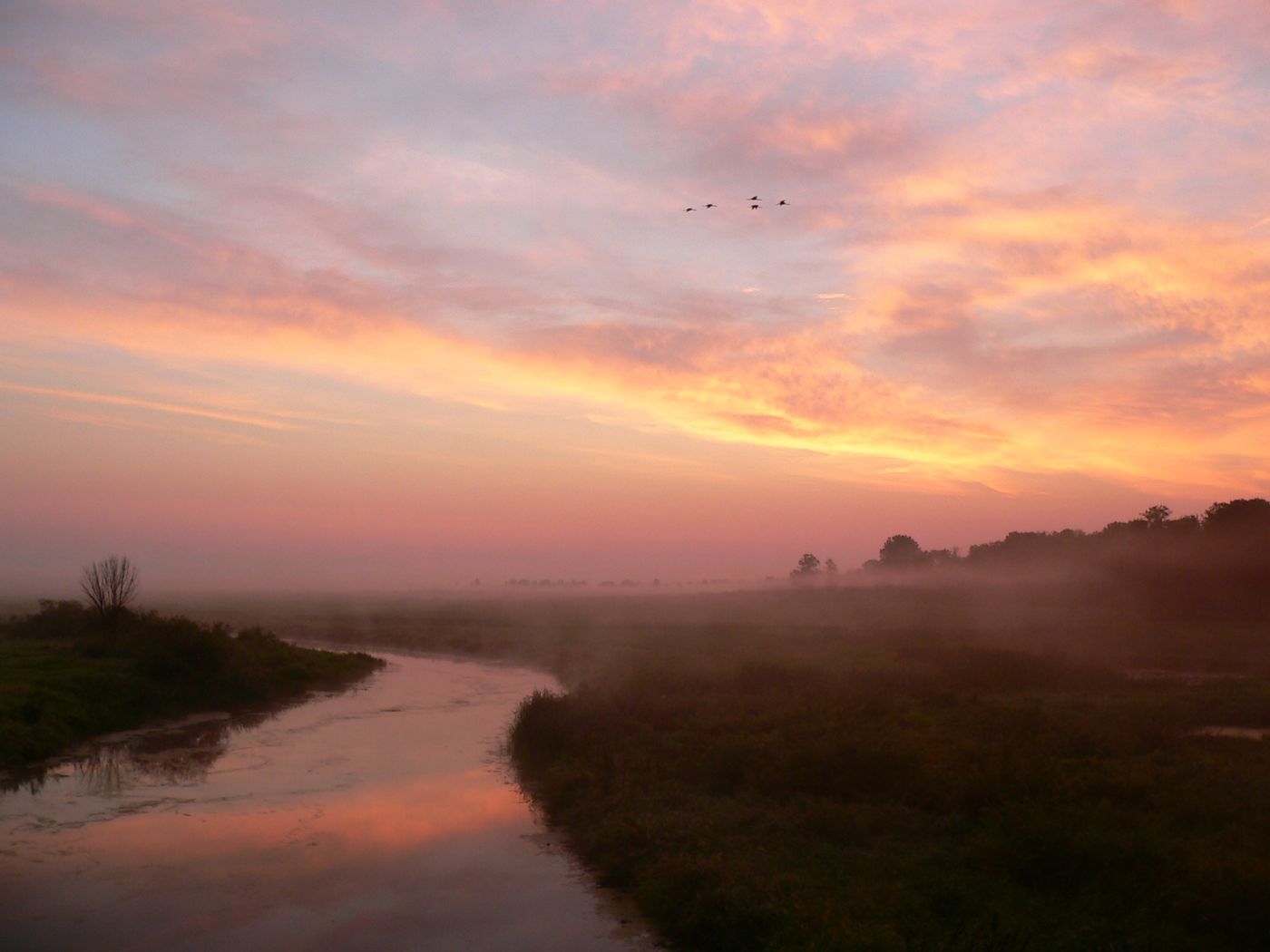 Coucher de soleil sur la vallée de Biebrza