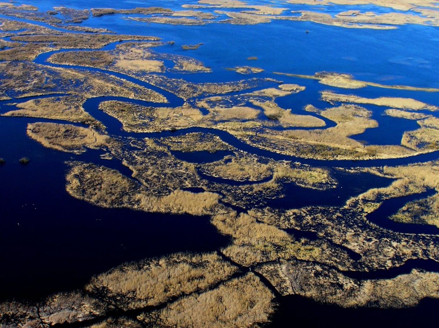 Vue aérienne de la vallée de Biebrza