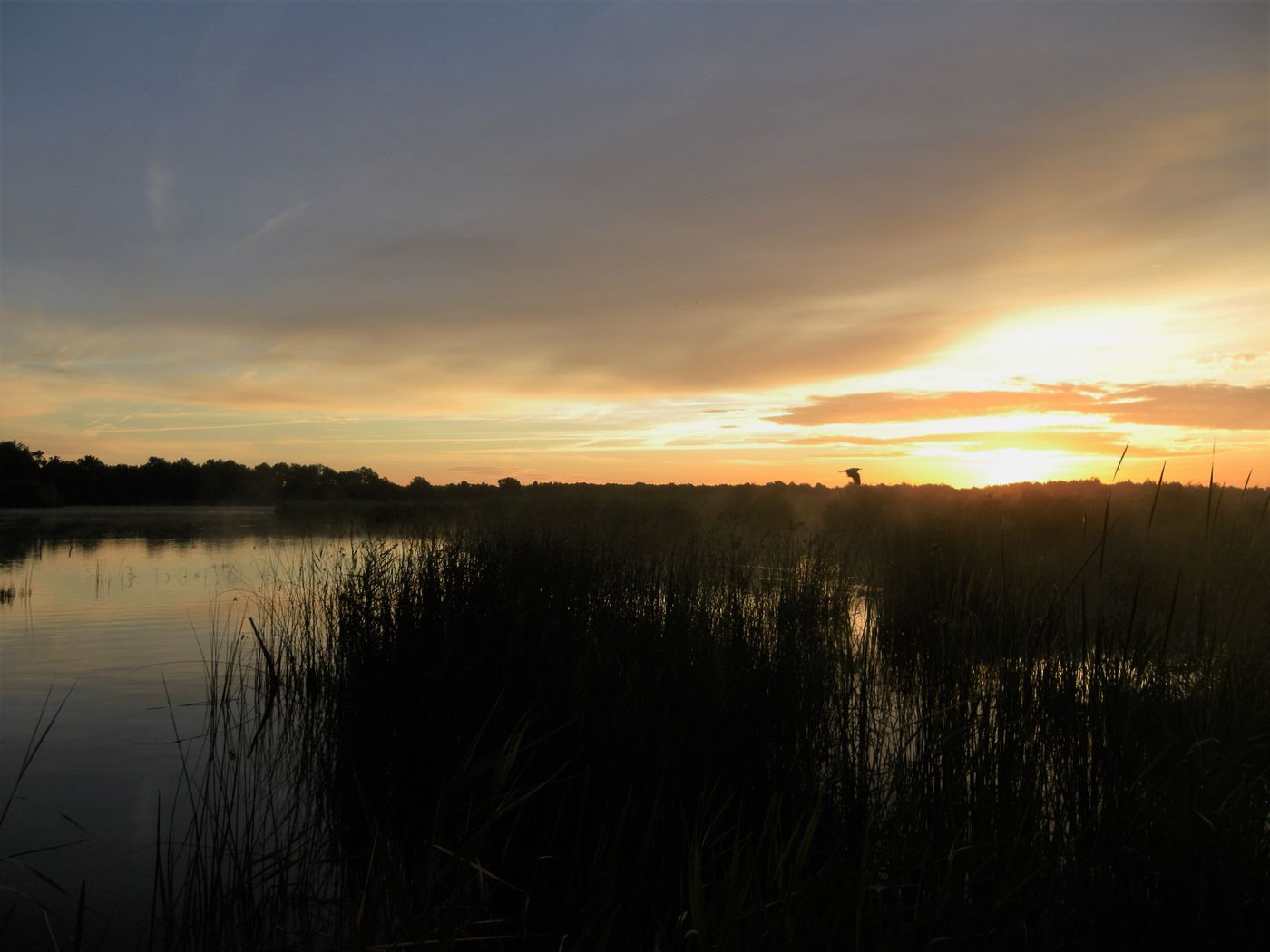 Le soleil se lève sur la Camargue...