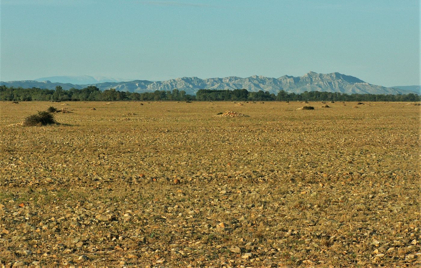 Vue sur l'immense steppe de Crau