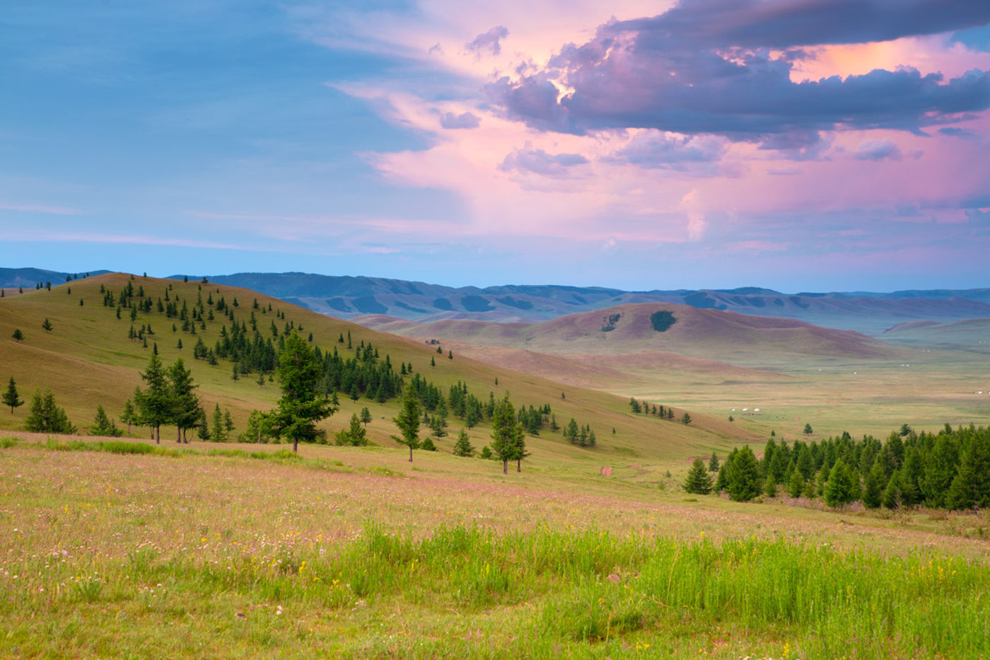 We bezochten de spaarzaam begroeide steppes in het binnenland van Mongolië. © Pieter-Jan Dhondt