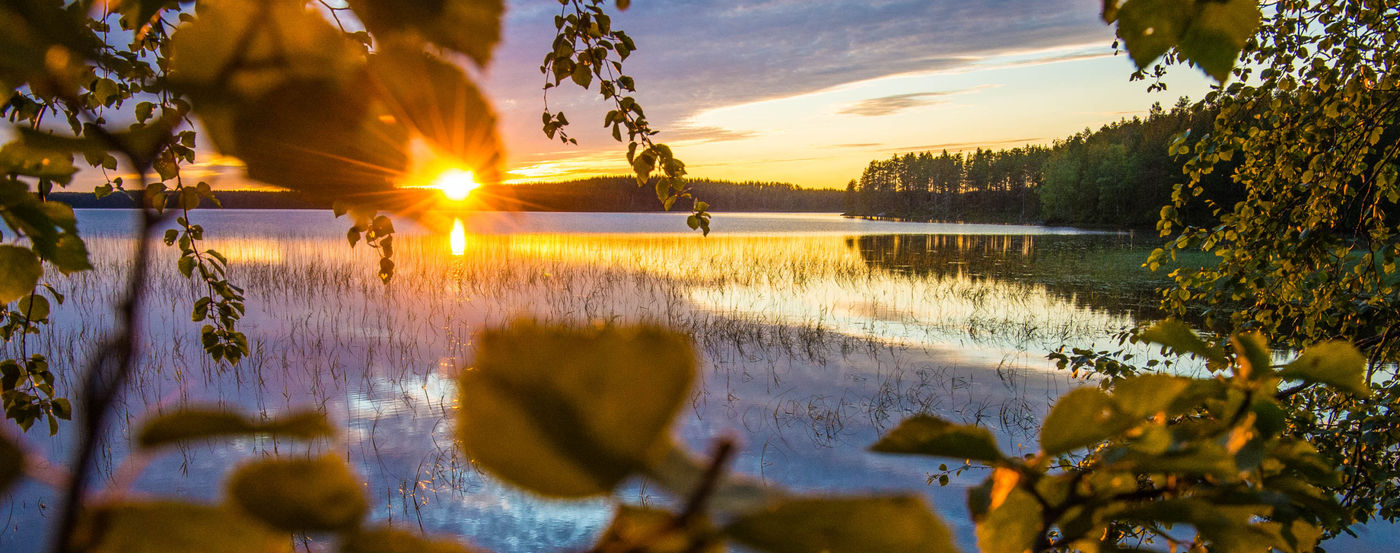 Finland_zomer-natuurreis_STARLING_reizen-tours_BillyHermanFinland (16 van 44)