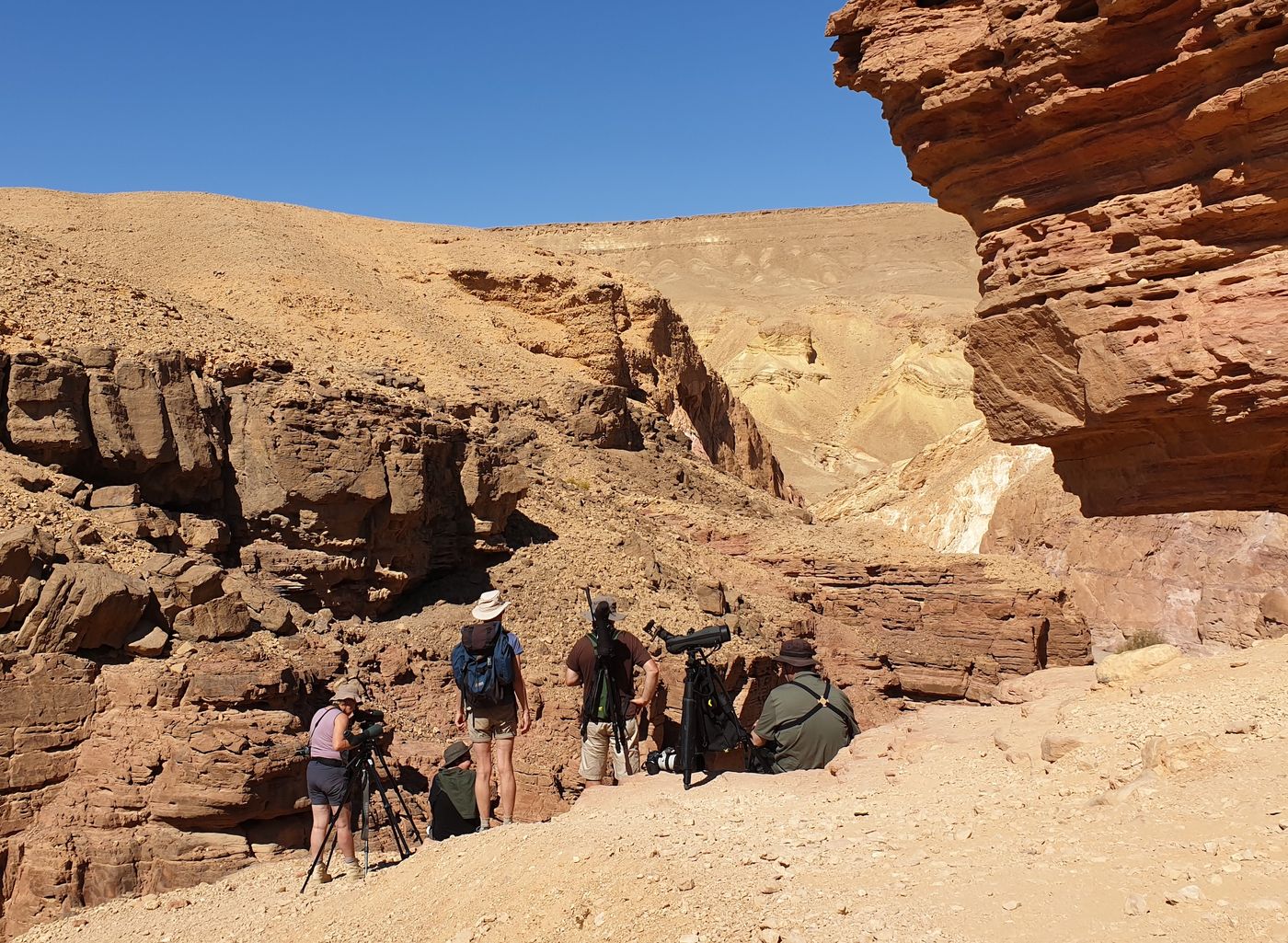 Notre groupe STARLING dans le Red Canyon