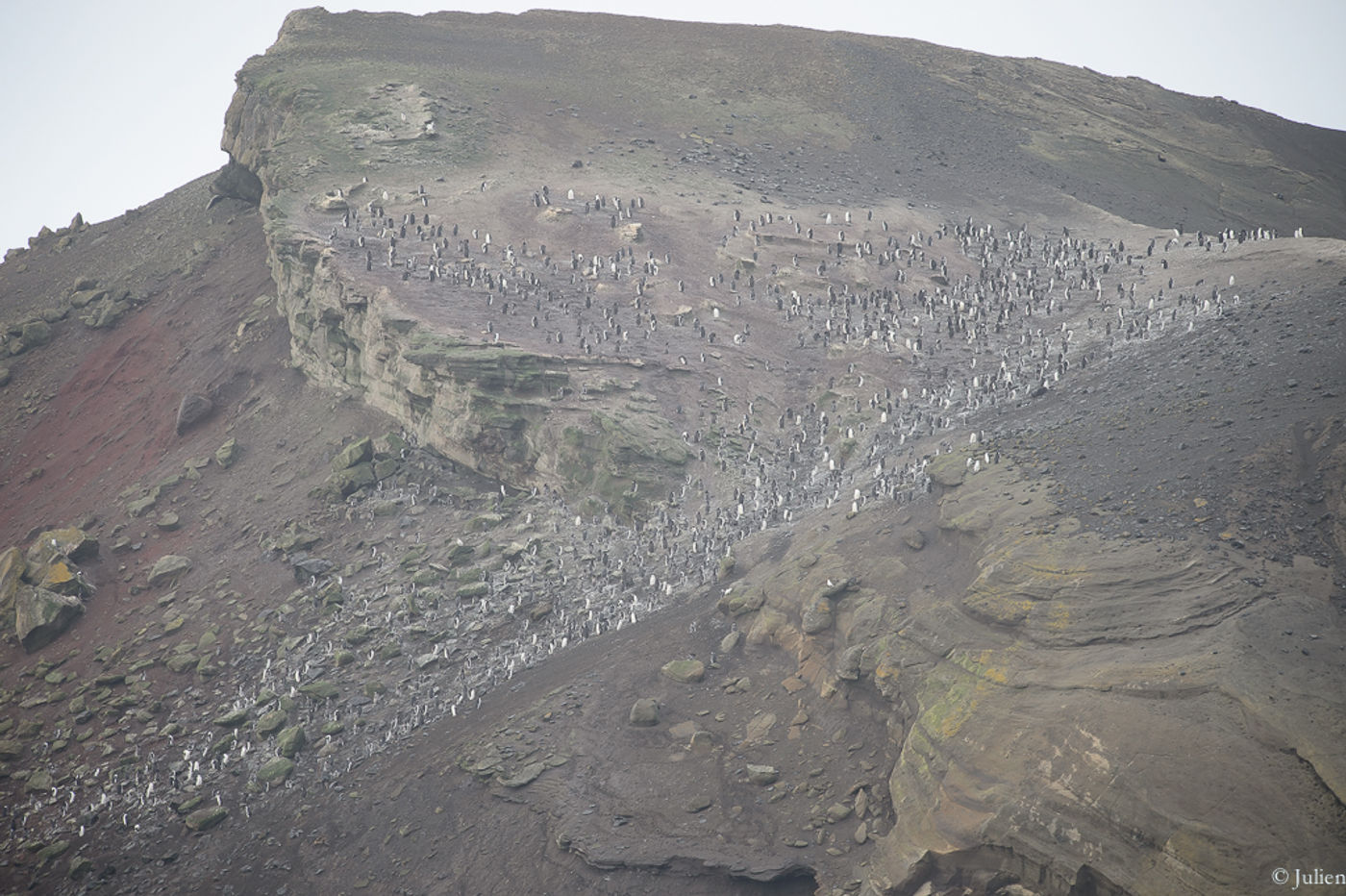 Southern Shetlands. © Julien Herremans