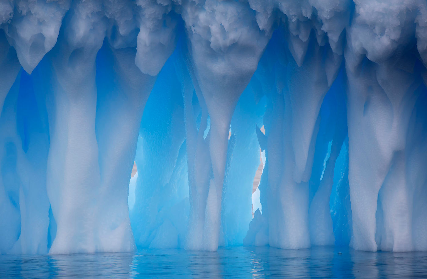 Icebergs at Brown Bluff, Antarctica.