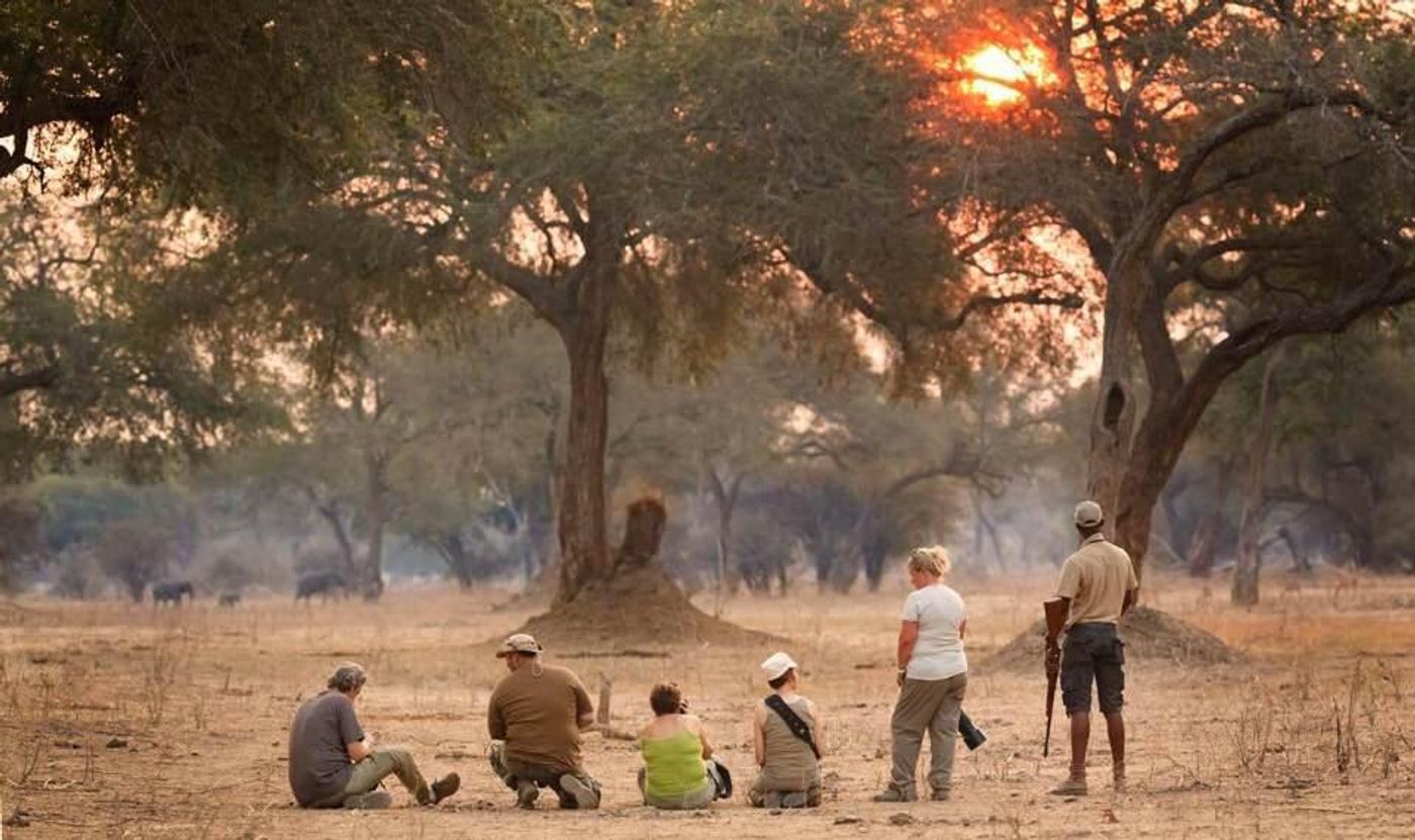 De reis van mijn leven! Mana Pools (Okt). Jullie vragen het meest onmogelijke ... het mooiste, tofste, zotste, grootste moment te beschrijven! Wel om eerlijk te zijn heb ik die momenten iedere dag mogen beleven mede door Carole Deschuymere! Wie kan zeggen dat er een olifant op twee meter voor je neus staat, je op de grond ligt op vijf meter van een wilde hond, je tussen twee leeuwen op de grond kan gaan liggen .... Deze reis kan je niet eens beschrijven op één blad! Zelfs de gevoelens niet ...! Je gaat van blij naar rust, naar adrenaline, naar krop in de keel, naar ... zoveel om op te noemen ... Eén moment ben ik wel HEEL ONGELUKKIG geweest ... de dag terug naar huis! WIL TERUUUUG!! Nogmaals dank aan STARLING en Carole Deschuymere en medereizigers voor de reis van mijn leven te bezorgen!!! © Birgen Ryckebosch