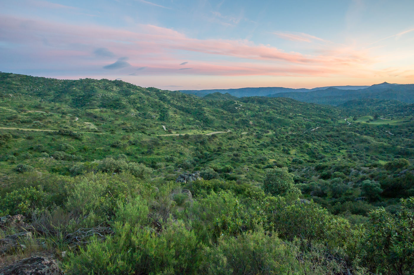 Het landschap rond Andujar. © David 'Billy' Herman