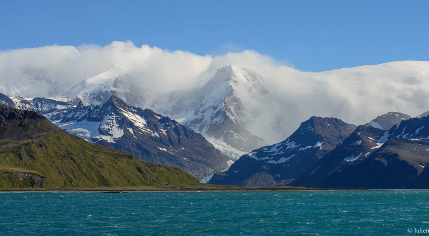 South Georgia. © Julien Herremans