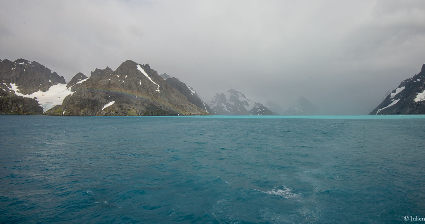 South Georgia in de mist. © Julien Herremans