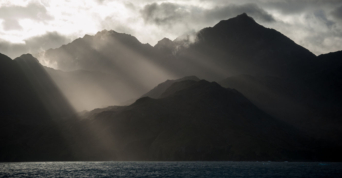 South Georgia. © Julien Herremans