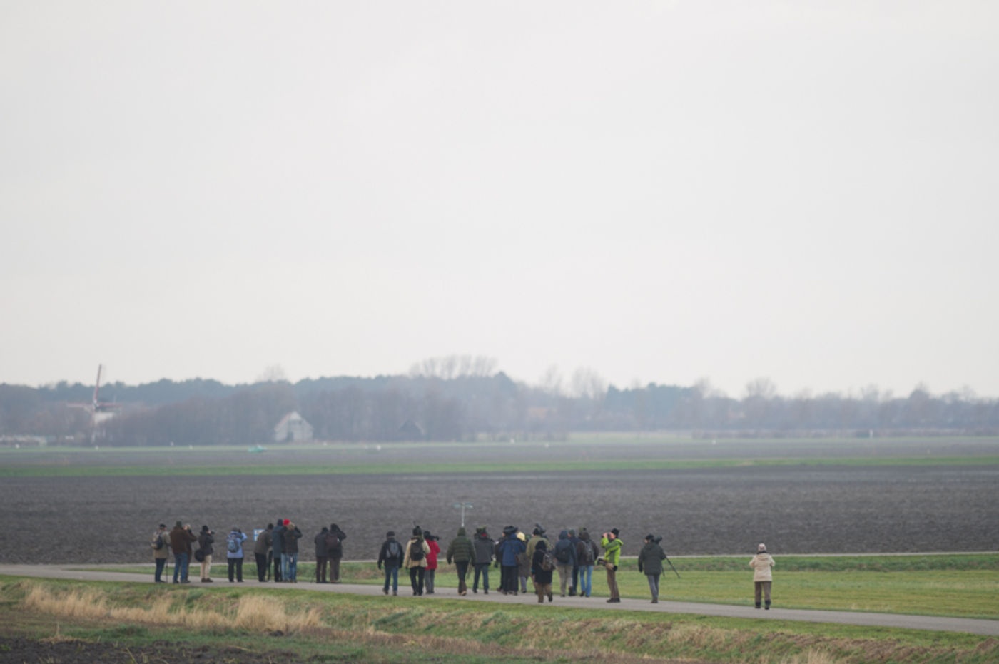 De laatste nieuwe soort van de dag scoren. © David 'Billy' Herman