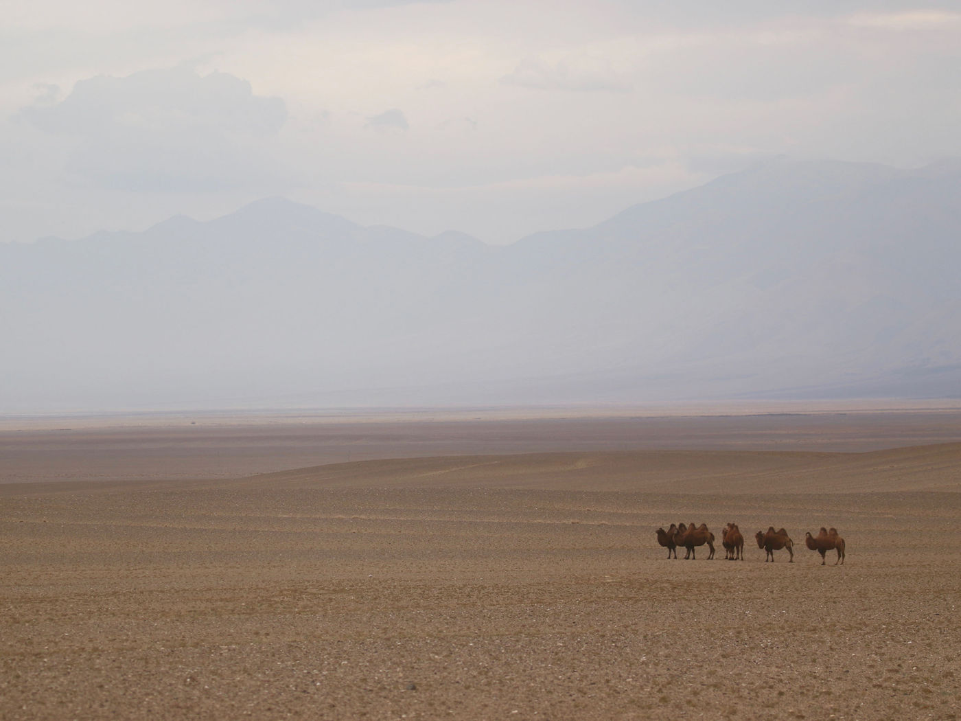 De Gobi woestijn is een land van extremen. © Geert Beckers