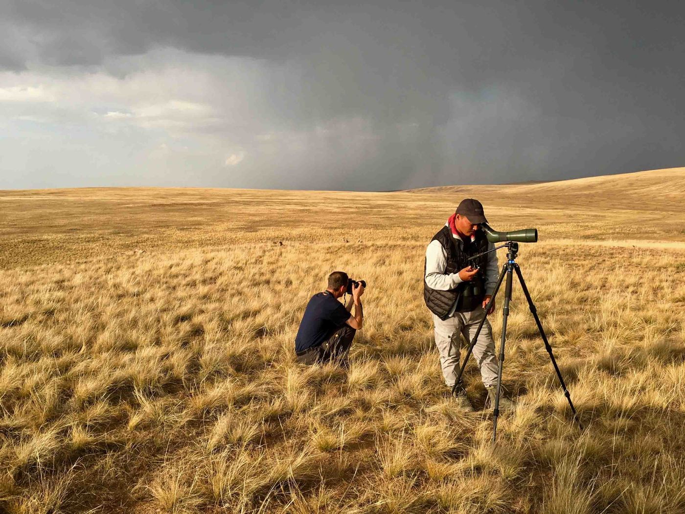 Scannen voor zoogdieren en vogels met een storm op de achtergrond. © Geert Beckers