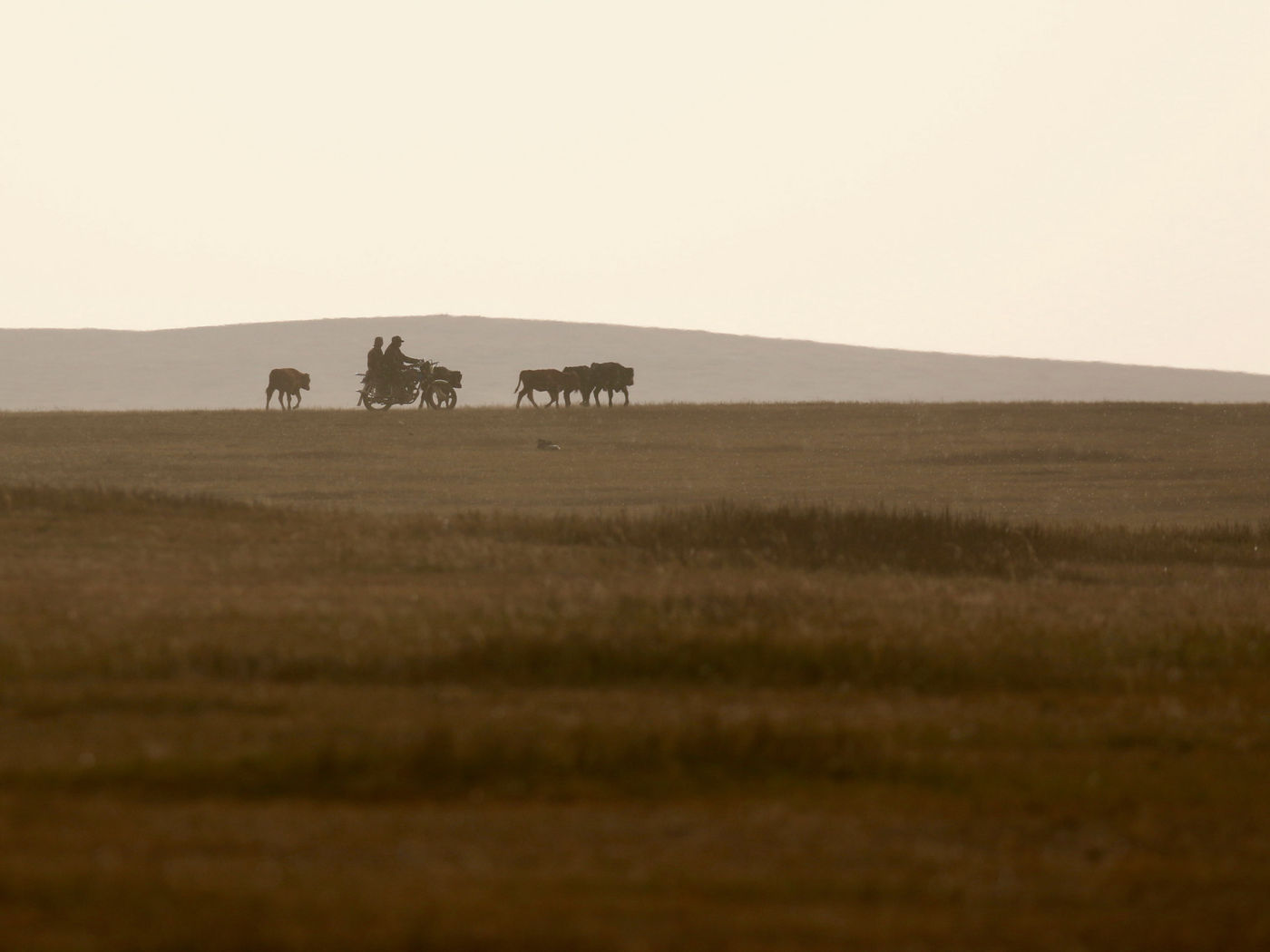 Locals verkennen de steppe. © Geert Beckers