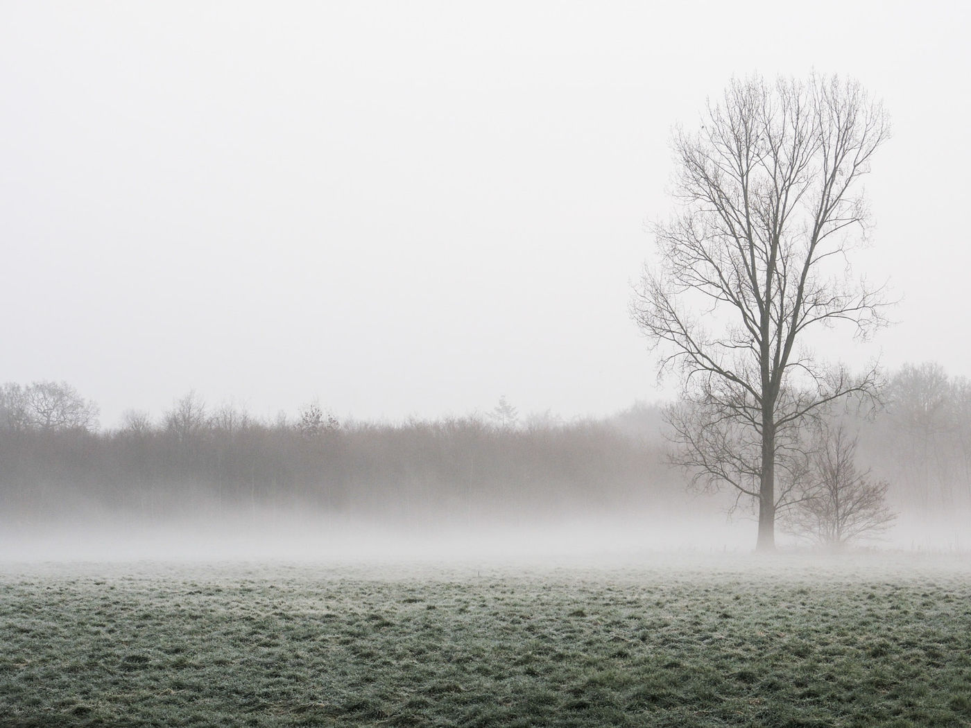 Weersomstandigheden zijn top met een kleine mistbank over de velden. © David 'Billy' Herman