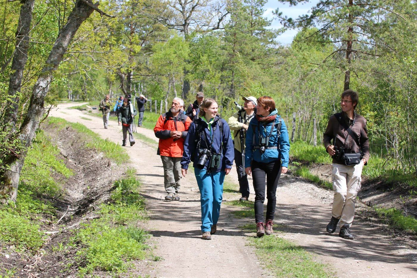 STARLINGreizenBlogberichten (1221 van 1762) Op wandel in het bos. © Robin Vermylen