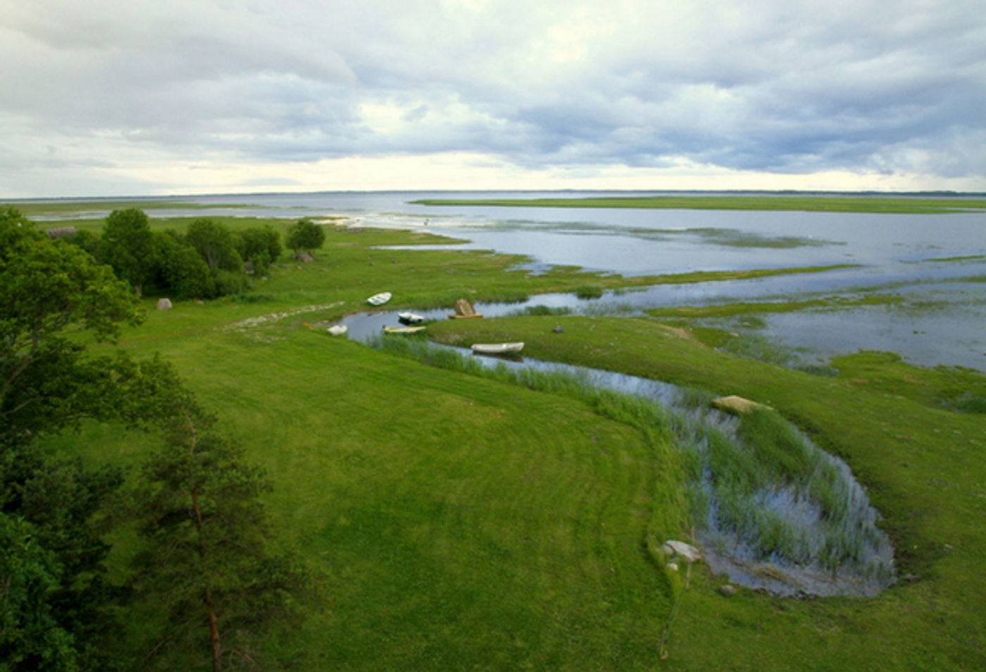 In Estland geniet je van veengebieden, dichte taigawouden, uitgestrekte moerassen en bloemenrijke hooilanden. © Johannes Jansen