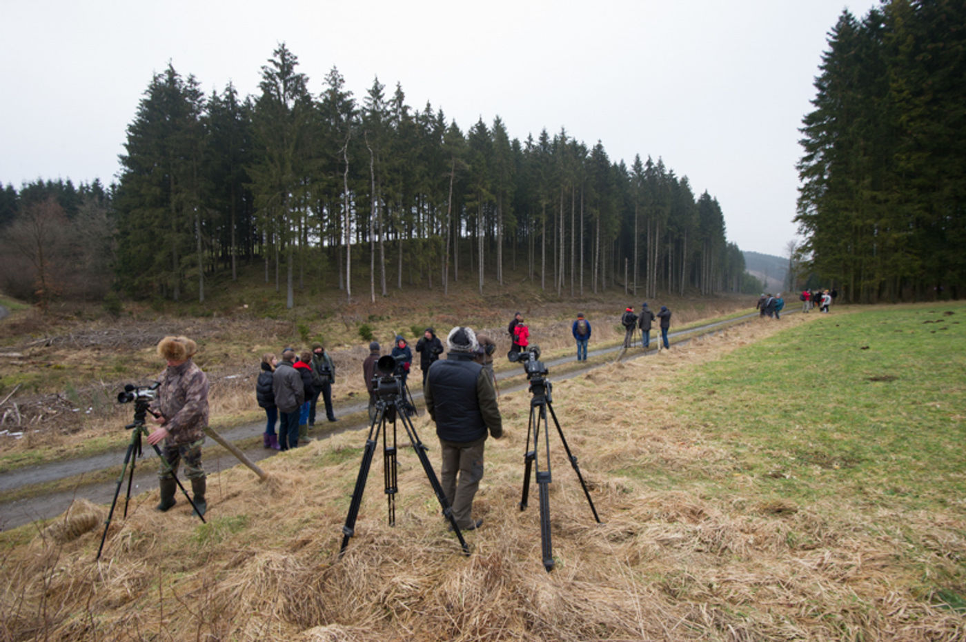 De groep gegadigden wacht geduldig. © David 'Billy' Herman