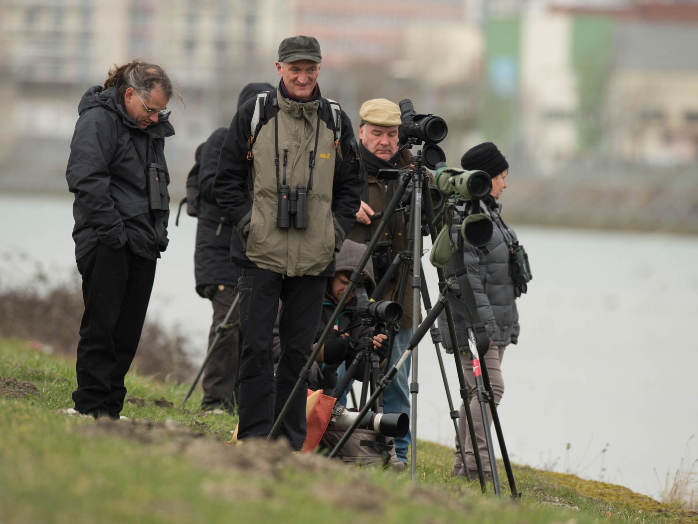 We krijgen niet genoeg van de meeuwen in Boulogne. © Benny Cottele