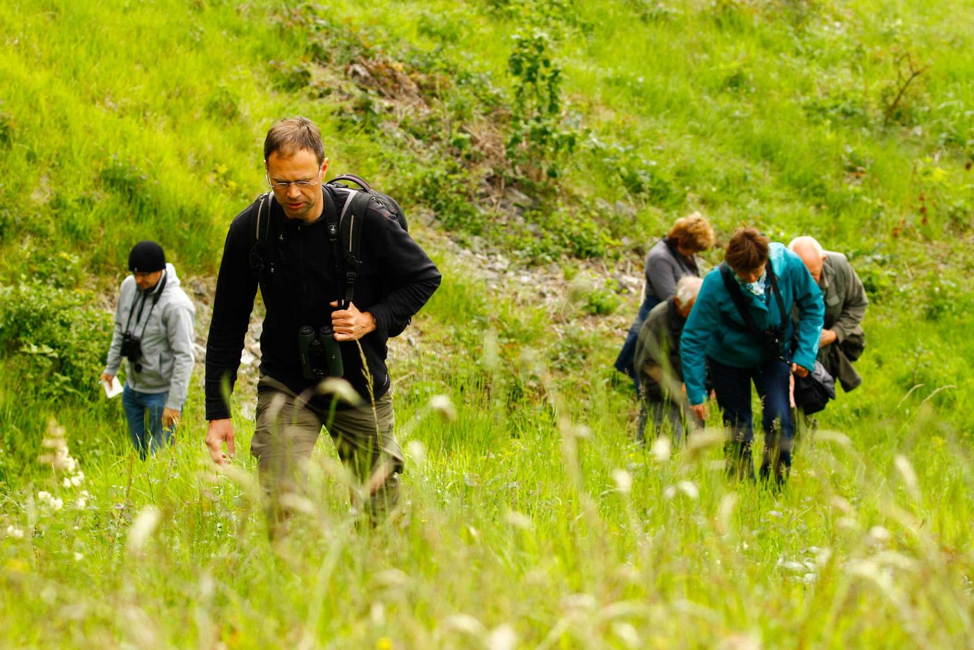 Kalkgraslanden uitkammen. © Johannes Jansen