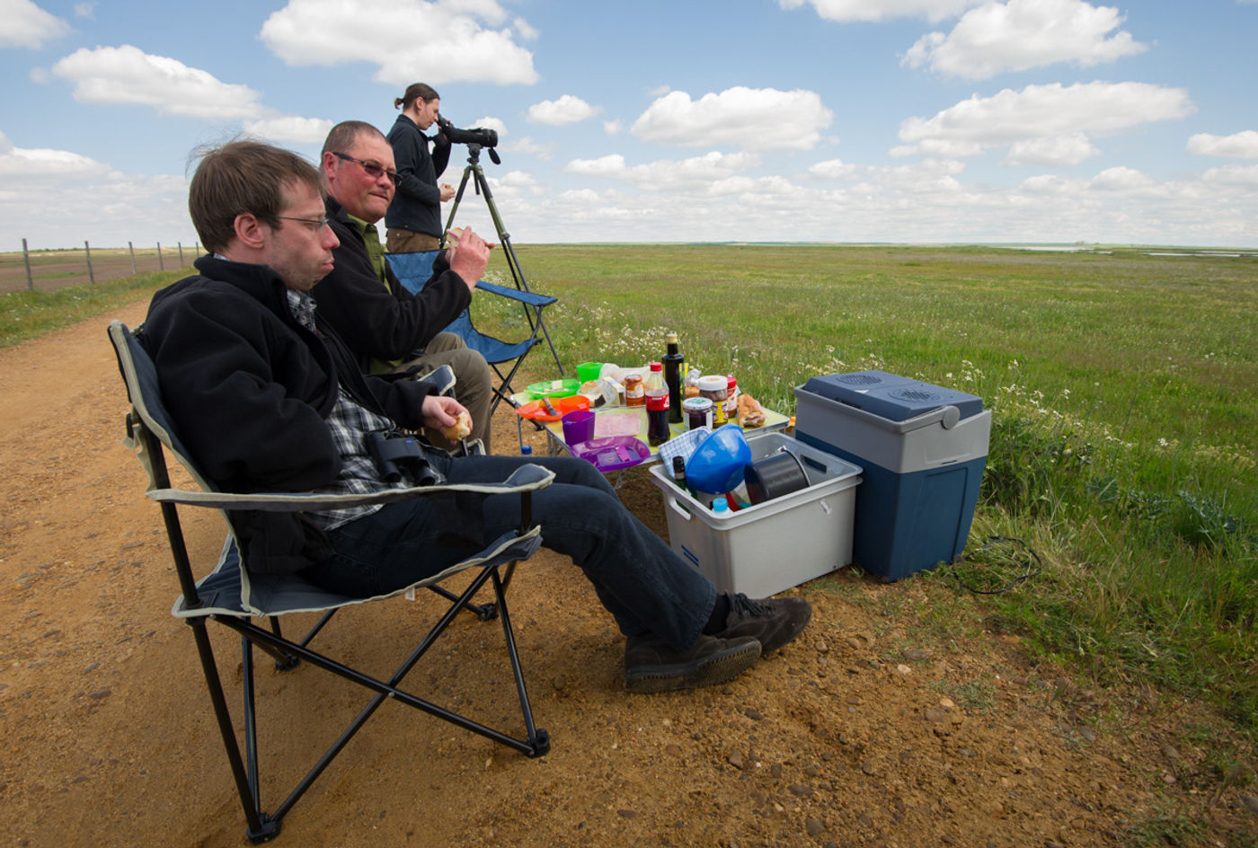 STARLINGreizenBlogberichten (53 van 1762) Speuren naar steppesoorten. © David 'Billy' Herman