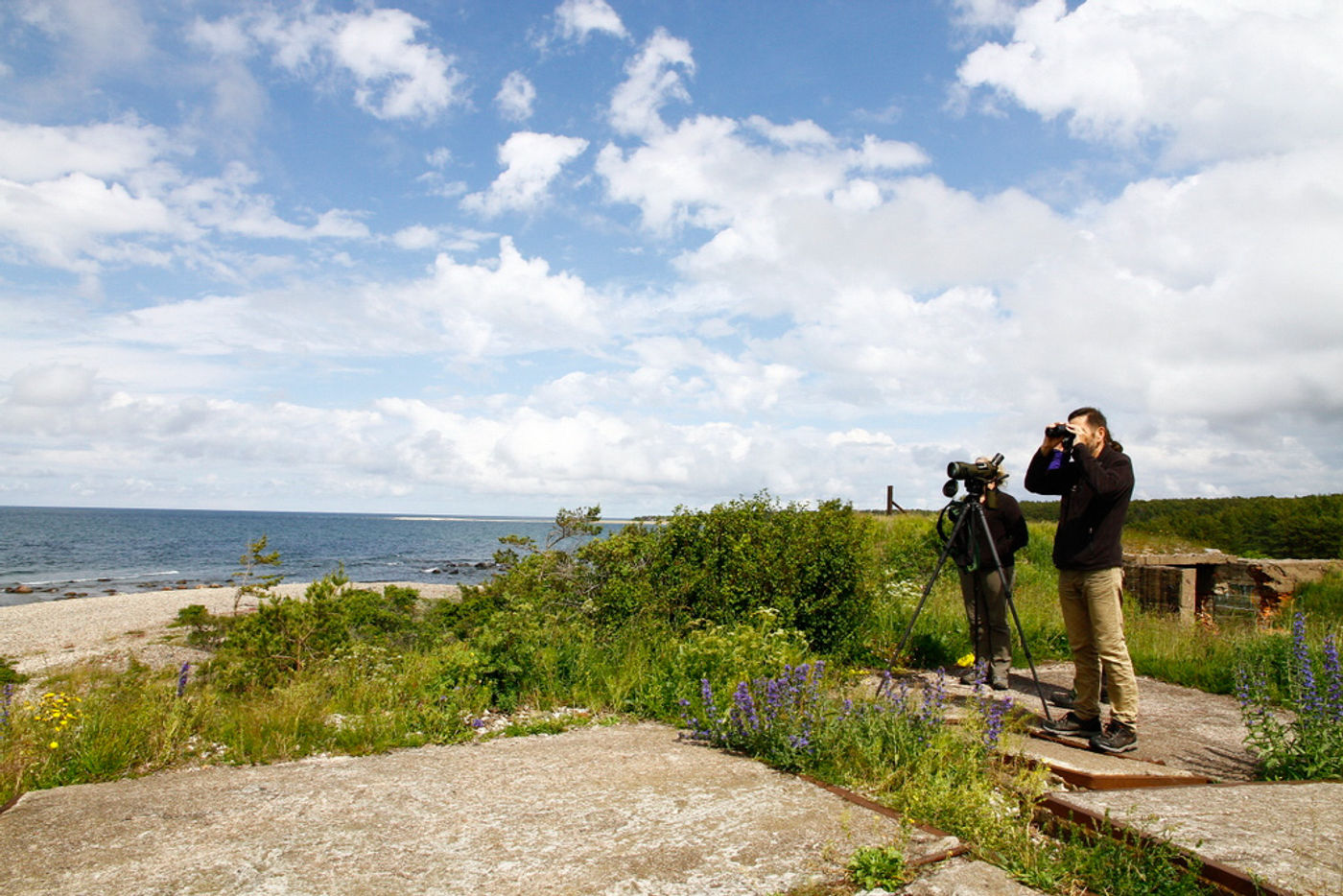 STARLINGreizenBlogberichten (606 van 1762) Seawatchen aan Ristna. © Johannes Jansen