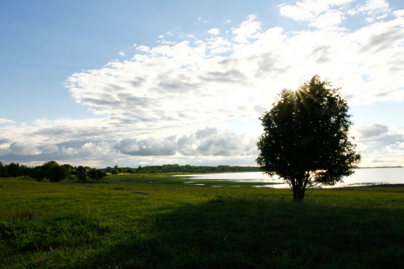 STARLINGreizenBlogberichten (612 van 1762) Puise peninsula. © Johannes Jansen