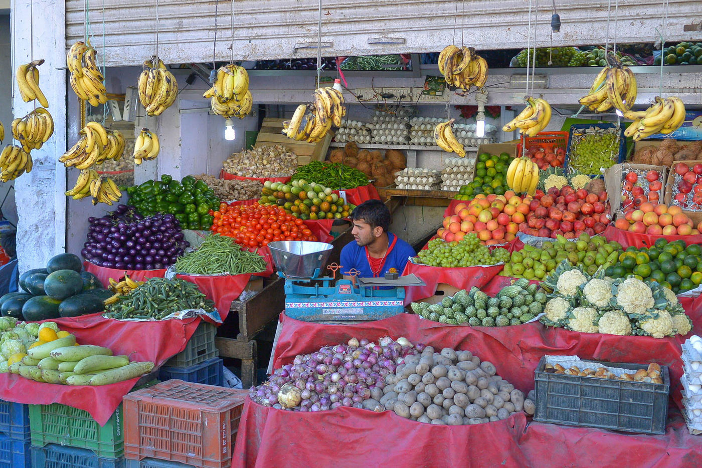 STARLINGreizenBlogberichten (904 van 1762) Markt in Leh. © Arne Secelle