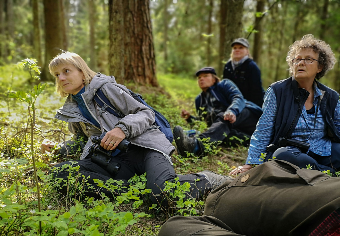 Dans l'est du pays, nous rencontrons de spectaculaires forêts. © Voyages STARLING