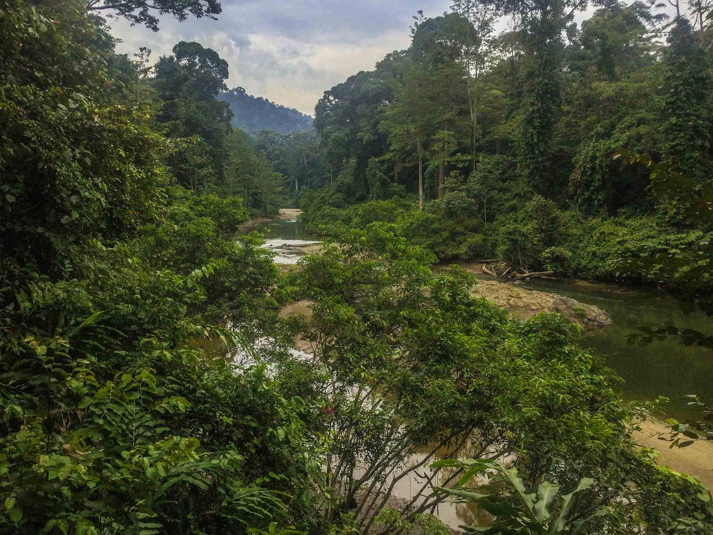 Borneo2017GeertBeckers-64 © Geert Beckers