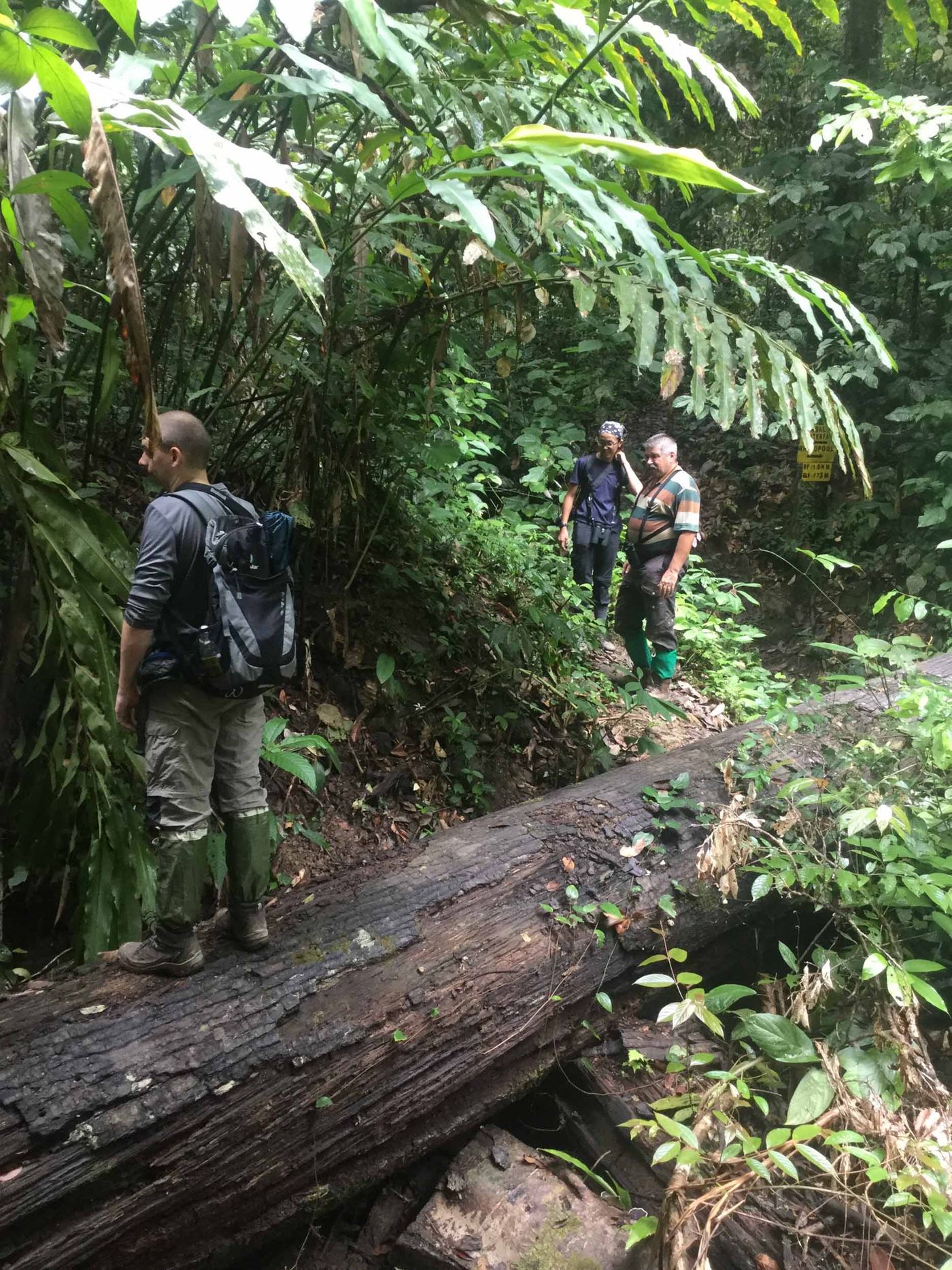 Borneo2017GeertBeckers-65 © Geert Beckers