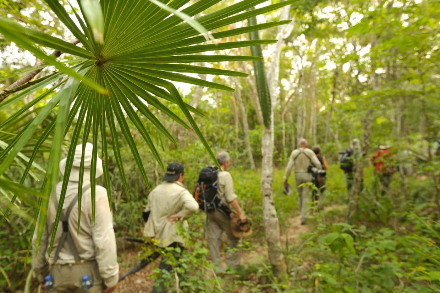 Excursion dans la jungle. © Frank Resseler