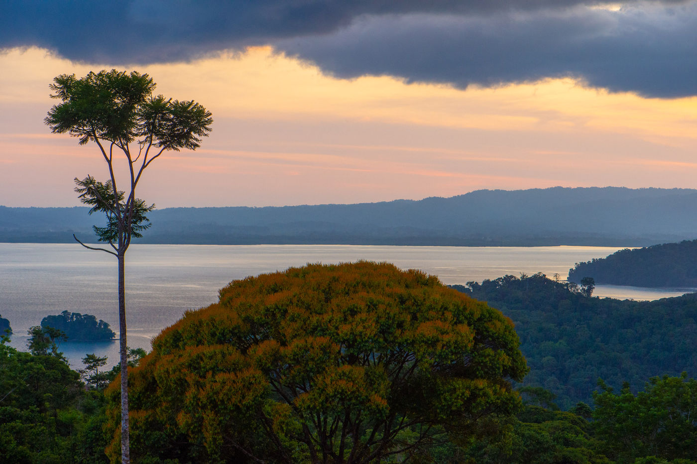 Nous longeons la côte Pacifique pendant un moment et profitons de paysages spectaculaires. © Billy Herman