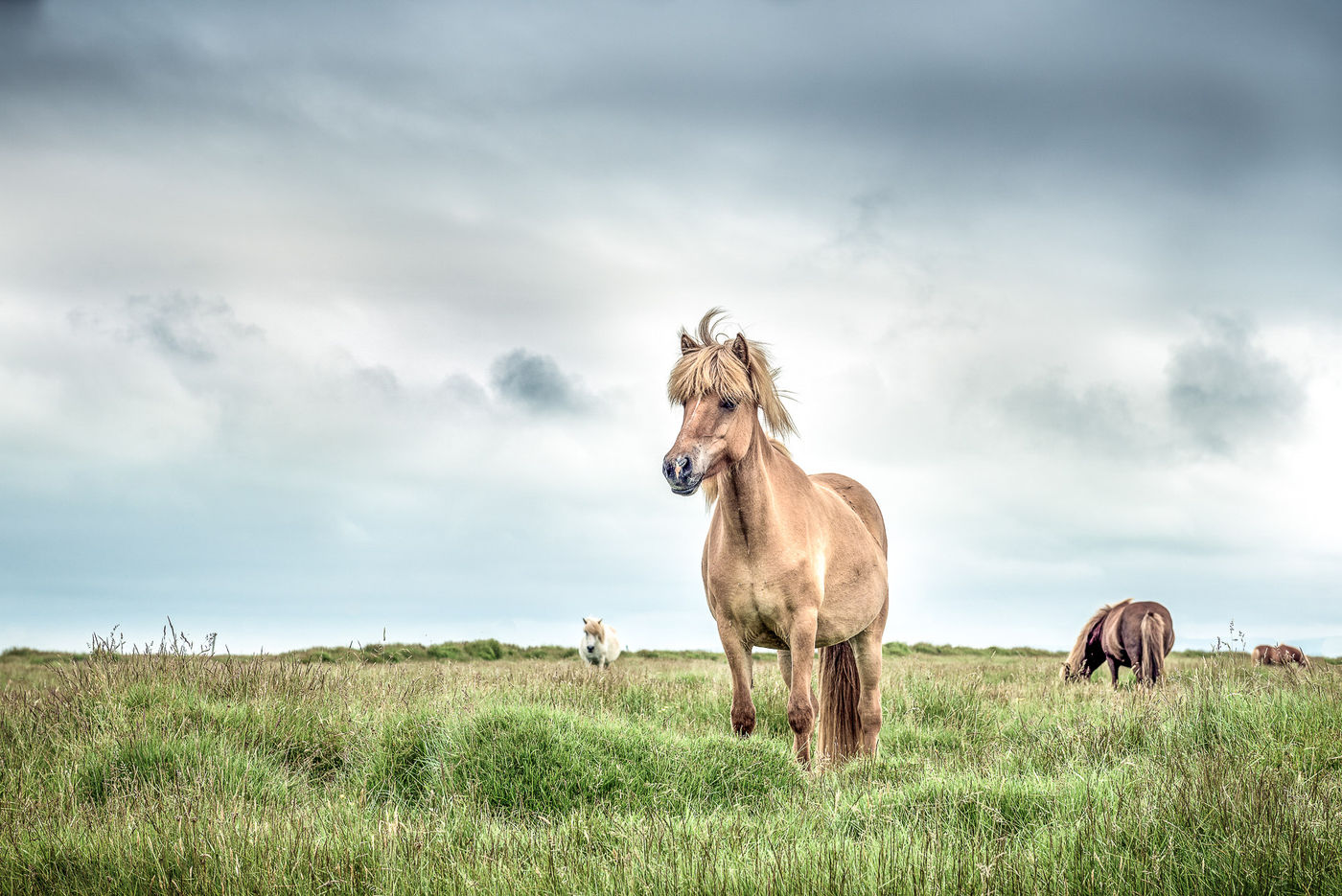 © Jeffrey Van Daele